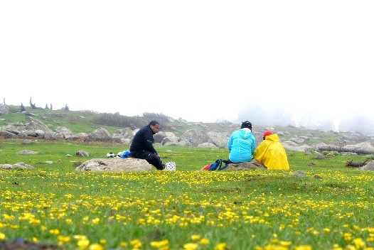 Gulmarg Kashmir Trek - Hiking in Kashmir
